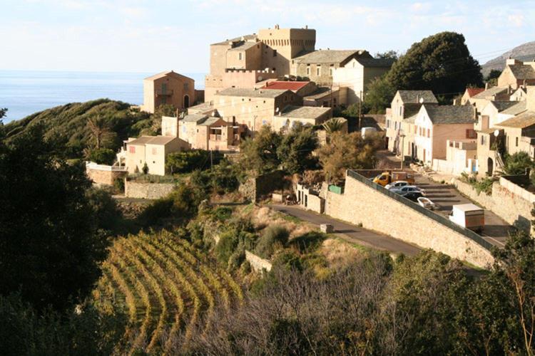 Azureo - Terrasse Du Golfe