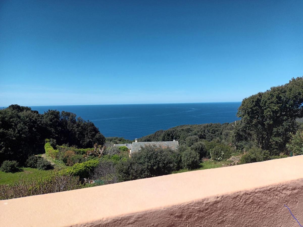 Azureo - Terrasse Du Golfe Casa de Férias